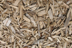 biomass boilers Bryn Coch